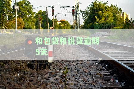和包贷-和悦贷：审核时间2小时，系统开小差，额度多久出？