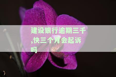 建设银行逾期三千,快三个月会起诉吗