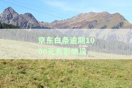 逾期1000元会有影响吗？真的会被起诉还款吗？