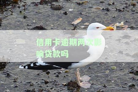 有两次信用卡逾期可以贷款吗，信用卡逾期两次，还能成功申请贷款吗？