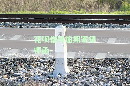 查询花呗借呗逾期寄律师函的记录、位置及进度：如何处理无能力还款的情况？