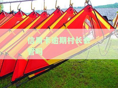 欠信用卡会打电话给村委会吗？真的吗？合法吗？实际操作中可能遇到的情况解析