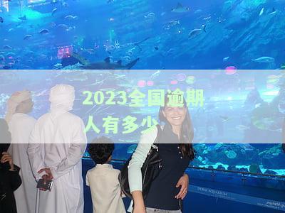 2020全国逾期的人有多少，揭秘2020年全国逾期人数：你是否也在其中？