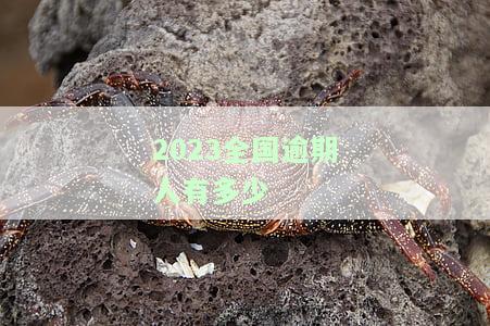 全国逾期率高达42%，分布图揭示最高地区，法院能否应对？查询逾期率排名全在这里