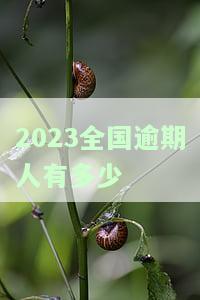 2023全国逾期人有多少-2020全国逾期的人有多少
