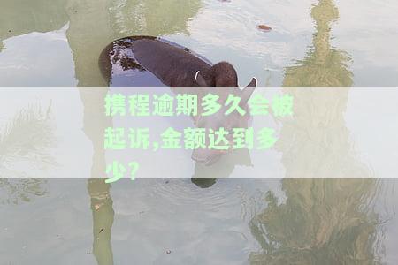 携程逾期多久会被起诉？金额达到多少可以起诉成功？