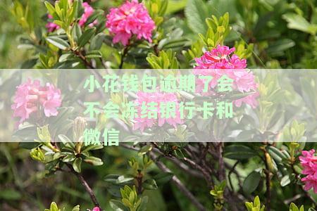 小花钱包逾期说要冻结我银行卡账户，警惕！小花钱包逾期可能导致银行卡账户被冻结