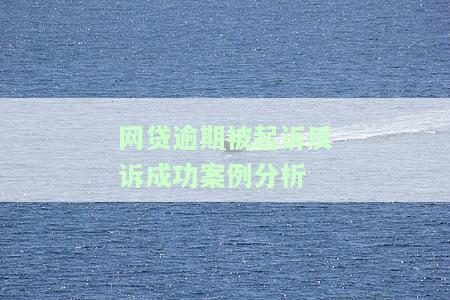 网贷逾期被起诉反诉成功案例分析：深度解析与法律策略