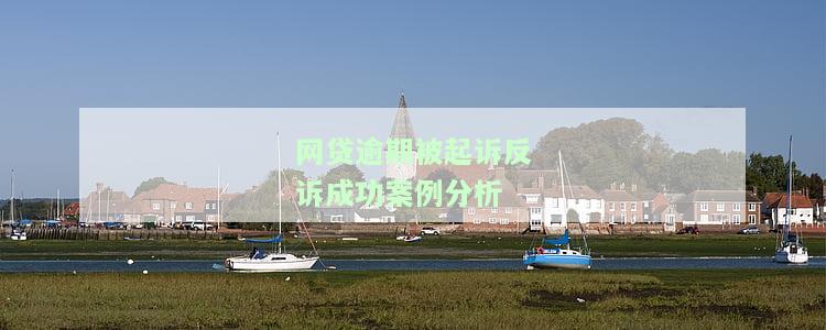 网贷逾期被起诉反诉成功案例深度解析：胜诉关键与经验分享