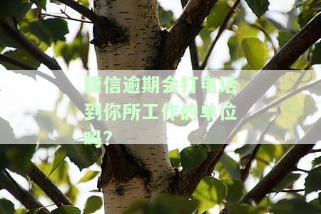 捷信逾期会打电话到工作单位吗？如何处理？是否会影响新工作地点？是否会拨打所有通讯录电话？紧急联系人会被打吗？上门催收是否真实？