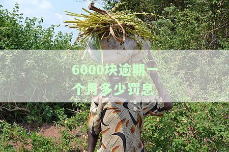 计算6000元逾期利息：一年、一天及6万利息，逾期是否坐牢？