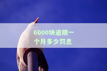 6000块逾期一个月多少罚息