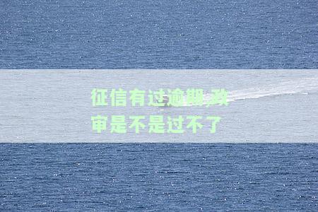 征信有逾期政审能过吗，政审能否通过：征信有逾期的影响
