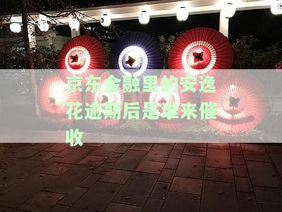 京东金融里的安逸花逾期后是谁来催收-京东金融安逸花属于网贷吗