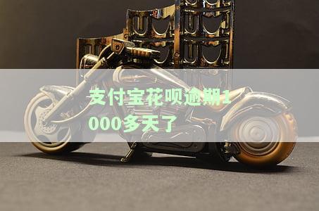 支付宝花呗逾期1000多天了