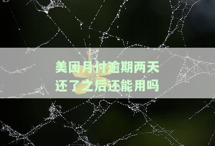 美团月付逾期两天后还款了,怎么用不了了，美团月付逾期两天后还款，为何仍无法使用？