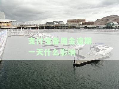 支付宝备用金逾期一天的影响：是否会留下征信记录？