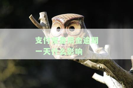 支付宝备用金逾期一天影响芝麻信用不，支付宝备用金逾期一天是否会影响芝麻信用？