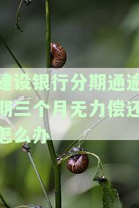 建设银行分期通逾期2天会否影响信用？是否会有宽限期、起诉风险及全额还款利息计算方式？