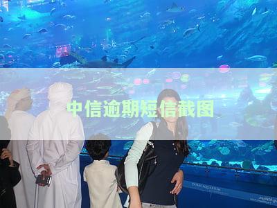 中信银行逾期：短信提示进入法律催收流程，如何应对？