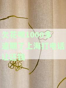 欠花呗1000多逾期了上海打电话让还钱是真的吗，警惕！欠花呗1000多逾期，上海真的会打电话让你还钱吗？