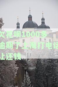 欠花呗1000多逾期了上海打电话让还钱怎么回事，欠花呗1000多元逾期，上海方面打电话催还款