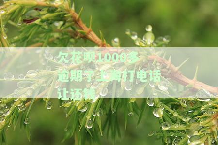 花呗逾期太久打电话来要上门怎么办，花呗逾期太久，接到催收电话称将上门，该怎么办？