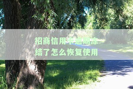 招商信用卡逾期冻结了怎么恢复使用