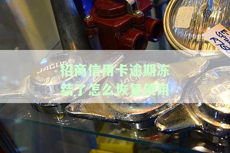 招商型银行信用卡逾期冻结后如何解冻？