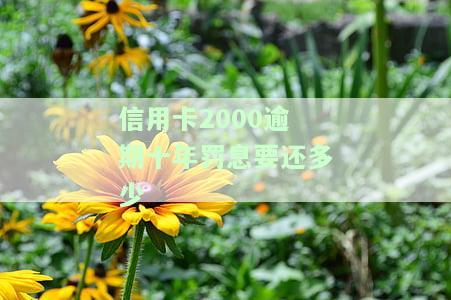 信用卡2000逾期一个月利息计算及影响贷款的注意事