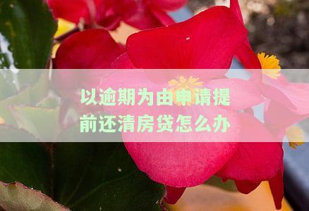以逾期为由申请提前还清房贷：合法操作及可能的罚息