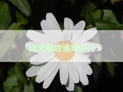 阳光财险逾期上门怎么办，解决阳光财险逾期问题：上门服务如何应对？