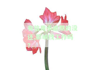 有信用卡逾期记录是否会影响考公务员及贷款买房？