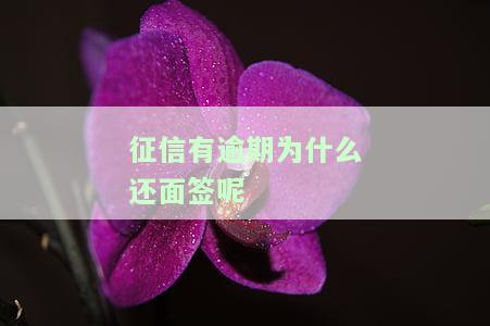 征信有逾期面签能过吗，征信逾期会影响银行面签通过率吗？