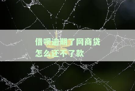 支付宝借呗显示网商贷有逾期我该怎么还，如何处理支付宝借呗显示网商贷逾期的情况？