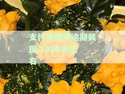 支付宝借呗逾期会怎么样贴吧，警惕！支付宝借呗逾期后果严重，你了解吗？