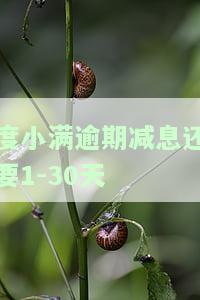 度小满逾期可以宽限几天，度小满贷款逾期可申请几天的宽限期？