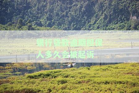 银行贷款逾期担保人多长时间会出现在征信报告中？会影响其信用吗？还会受到牵连吗？