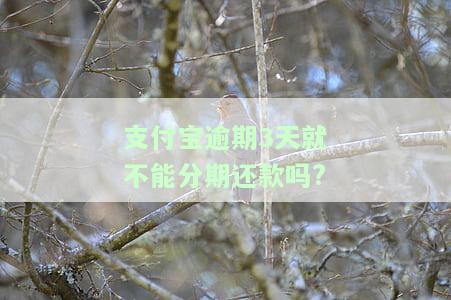 支付宝逾期三天会影响额度和信用吗？