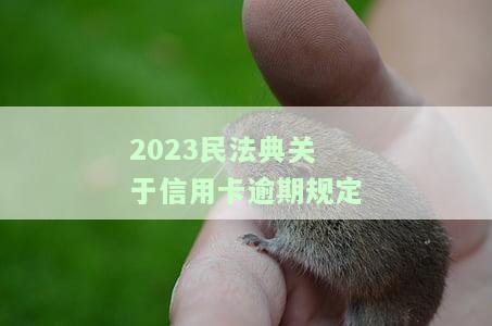 民法典2020年颁布信用卡逾期规定：详细解读与执行