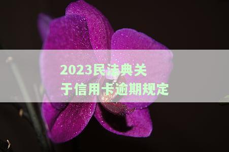 民法典信用卡逾期新规：2023年实，详细说明与条款