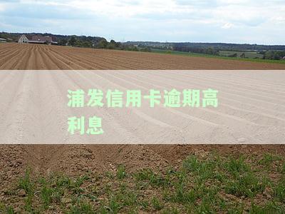 浦发信用卡逾期高利息怎么算，如何计算浦发信用卡逾期的高额利息？