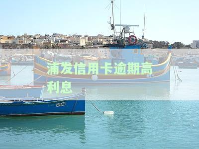 浦发信用卡逾期利息和违约金太高？2021年新法规及解决方法