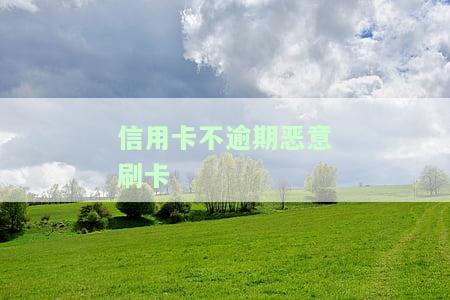 信用卡不逾期恶意刷卡-信用卡不逾期恶意刷卡怎么办