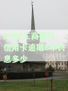 欠工行信用卡3000块两年，现在应还多少钱及利息？逾期1年半未还怎么办？