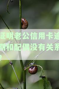 丈夫欠信用卡怎么证明不知情，如何证明在丈夫欠下信用卡债务时，自己毫不知情？