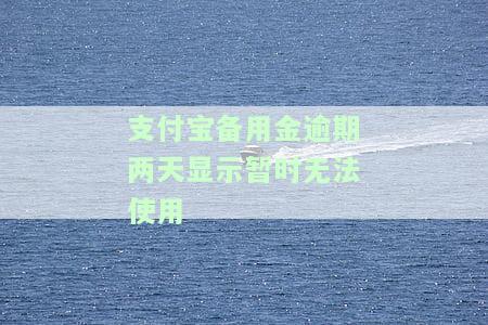支付宝备用金逾期两天显示暂时无法使用