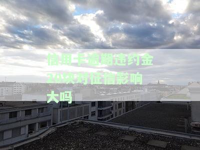信用卡逾期违约金20块对征信影响大吗怎么办，信用卡逾期违约金20块是否会对征信产生重大影响？解决方案解析