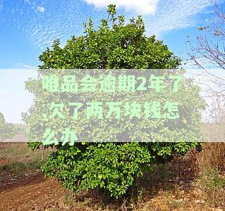 唯品会逾期2年了,欠了两万块钱怎么办呢，欠款两万，唯品会逾期两年未还，该如何解决？