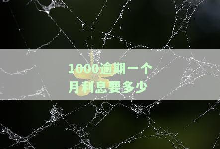 计算1000元逾期一个月利息：全网最全攻略！